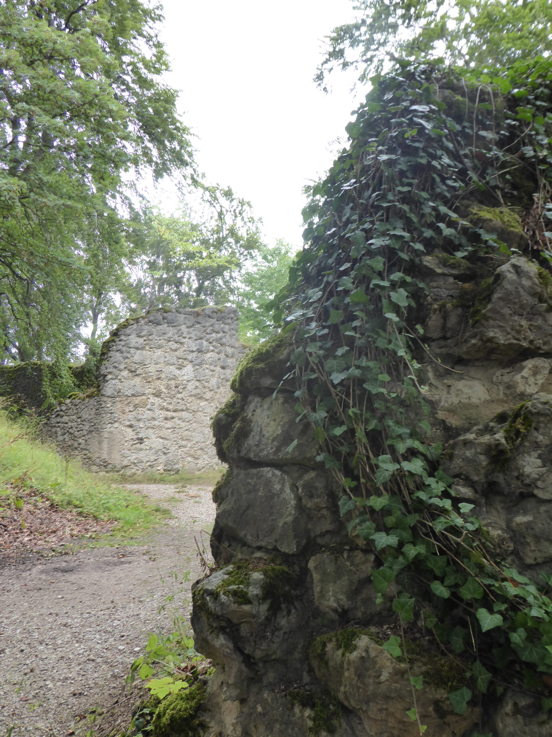 Grundmauern Burgruine